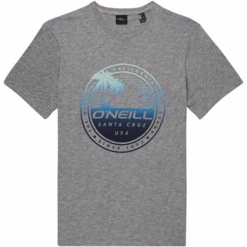 O'Neill LM PALM ISLAND T-SHIRT šedá M - Pánské tričko O'Neill